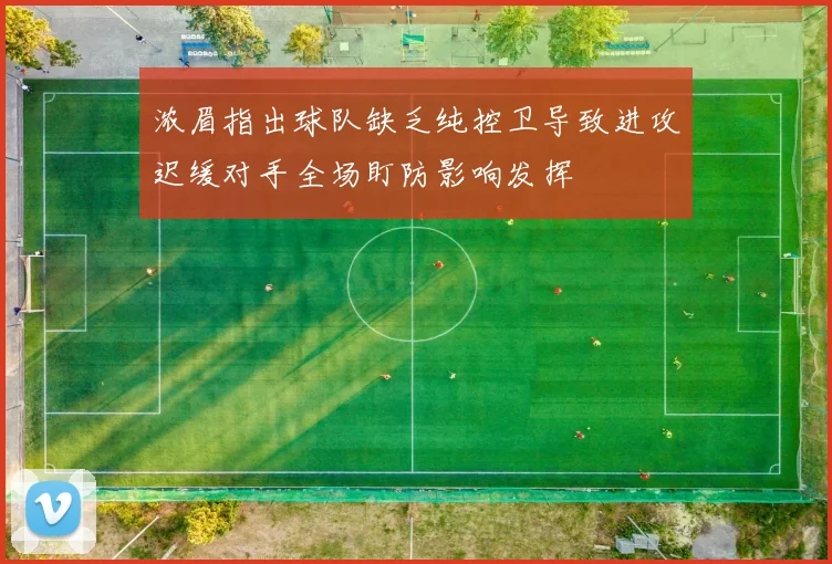 浓眉指出球队缺乏纯控卫导致进攻迟缓对手全场盯防影响发挥