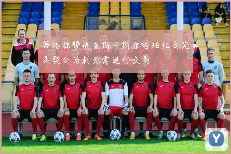 蒂格称赞福克斯卡斯尔哈珀组合完美契合马刺无需进行交易