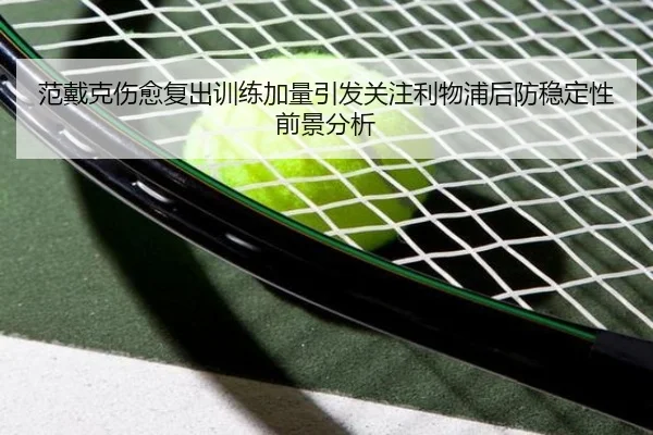 范戴克伤愈复出训练加量引发关注利物浦后防稳定性前景分析 | eonsports